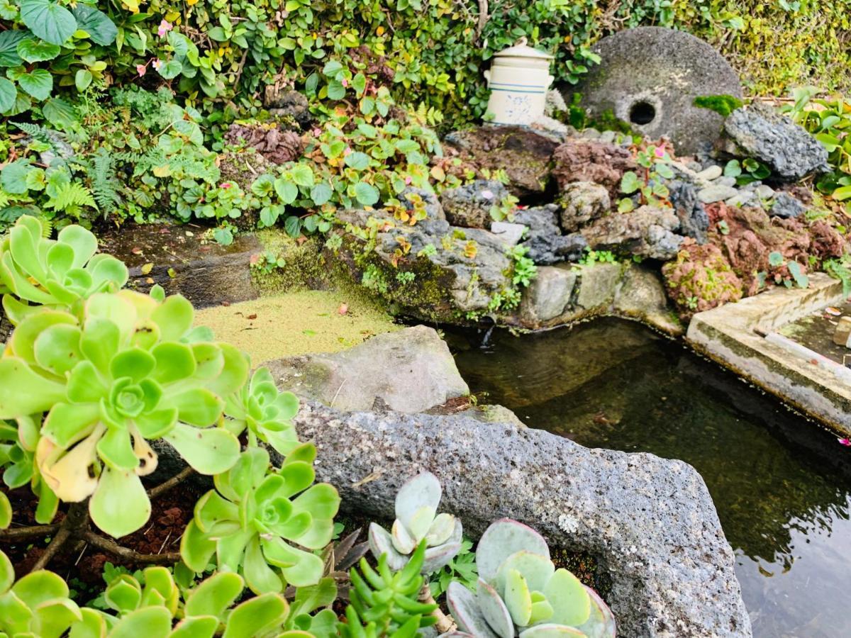 Furnas Spring Lodge 外观 照片