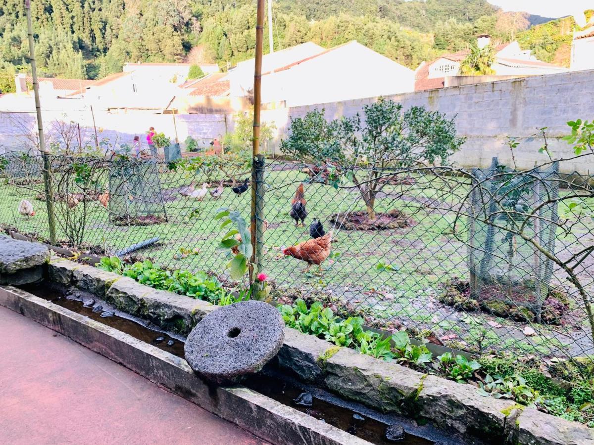 Furnas Spring Lodge 外观 照片