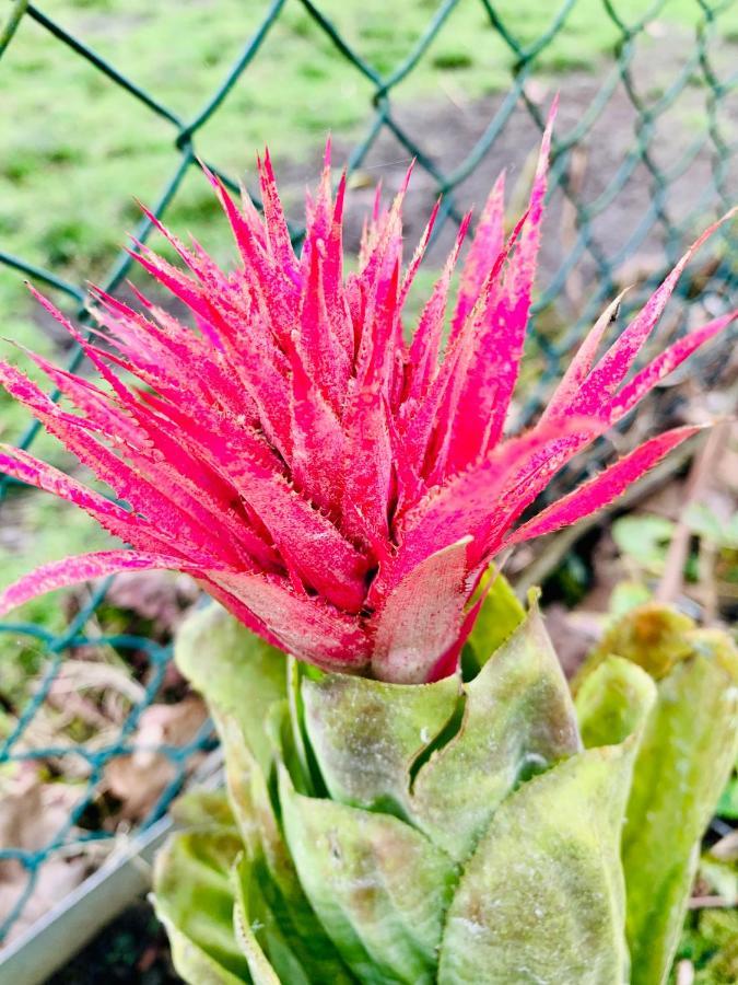Furnas Spring Lodge 外观 照片